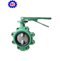 Lug Type PTFE/EPDM/NBR Lined Butterfly Valve